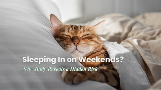 Pet - Advertorial - Aug 20, 13:21:45